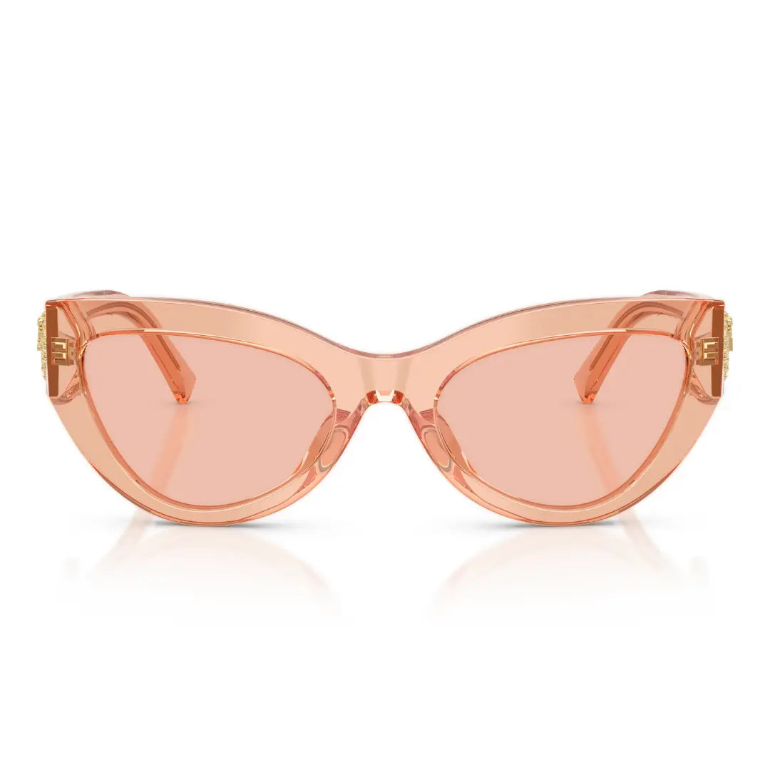 DOLCE E GABBANA 0DG4536 OCCHIALI DA SOLE