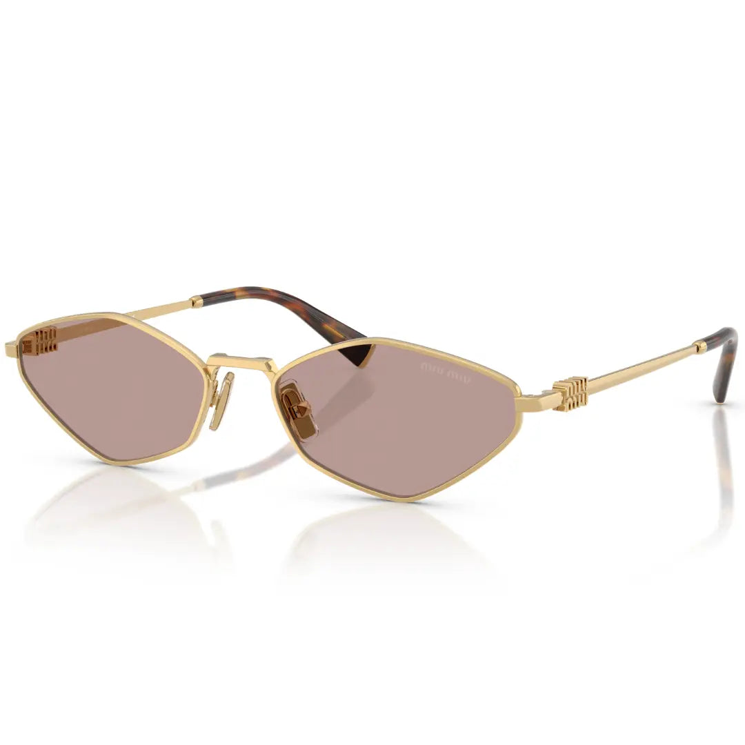 BALENCIAGA BB0095S 002 HAVANA SUNGLASSES