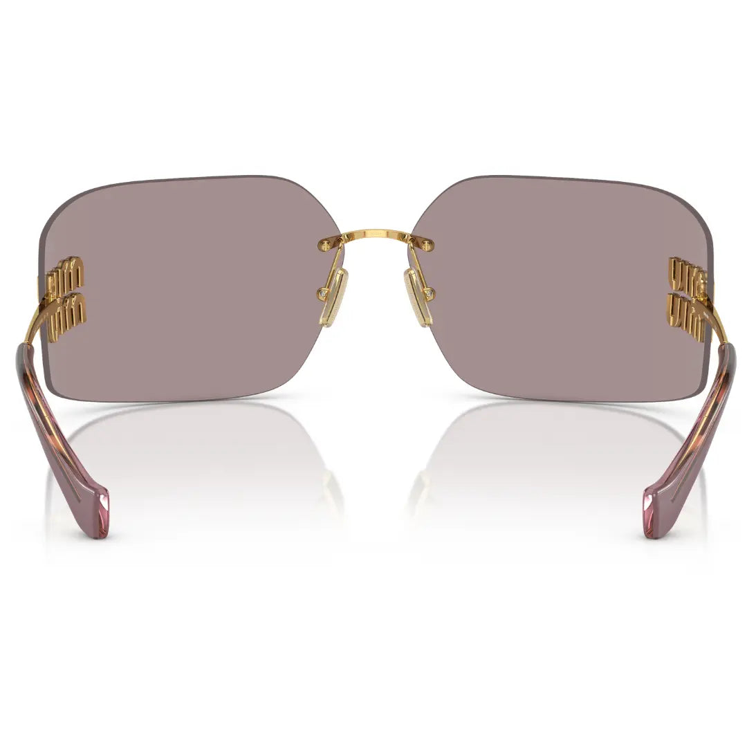 BALENCIAGA BB0095S 002 HAVANA SUNGLASSES