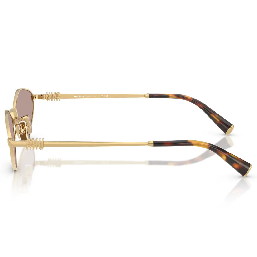 BALENCIAGA BB0095S 002 HAVANA SUNGLASSES