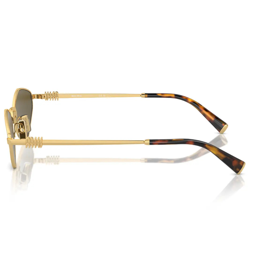BALENCIAGA BB0095S 002 HAVANA SUNGLASSES