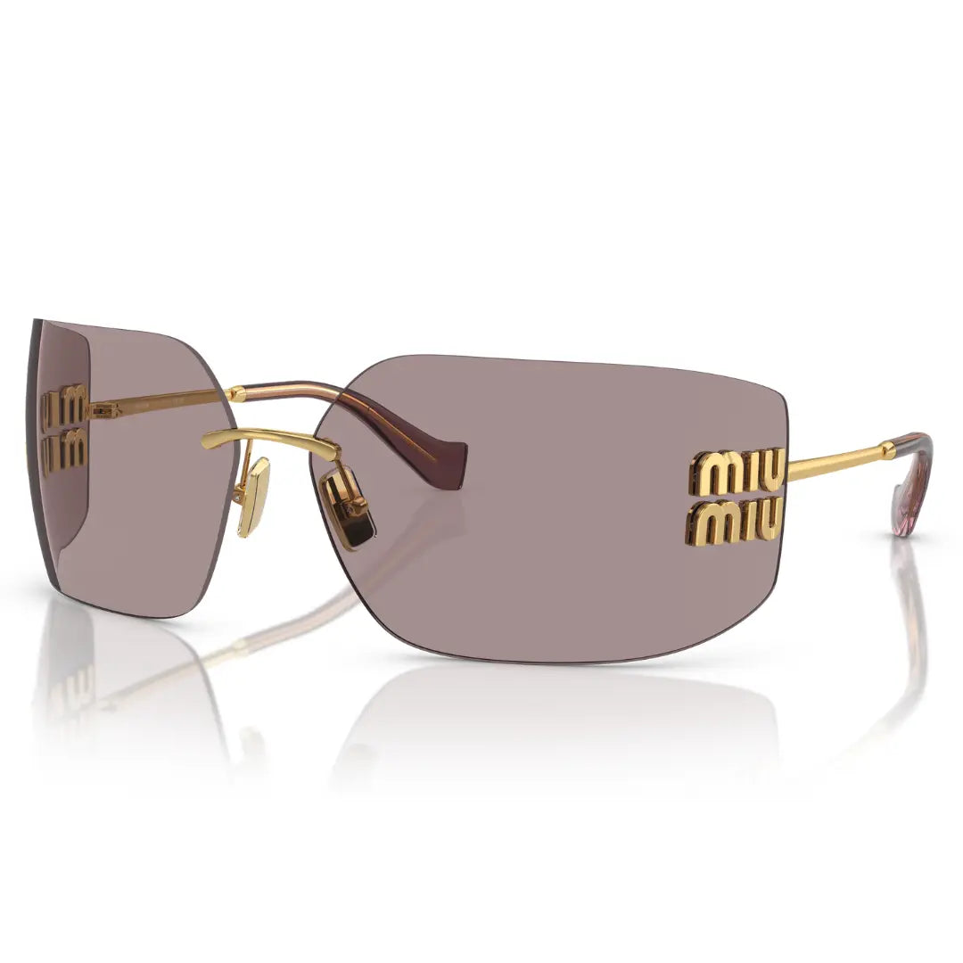 BALENCIAGA BB0095S 002 HAVANA SUNGLASSES