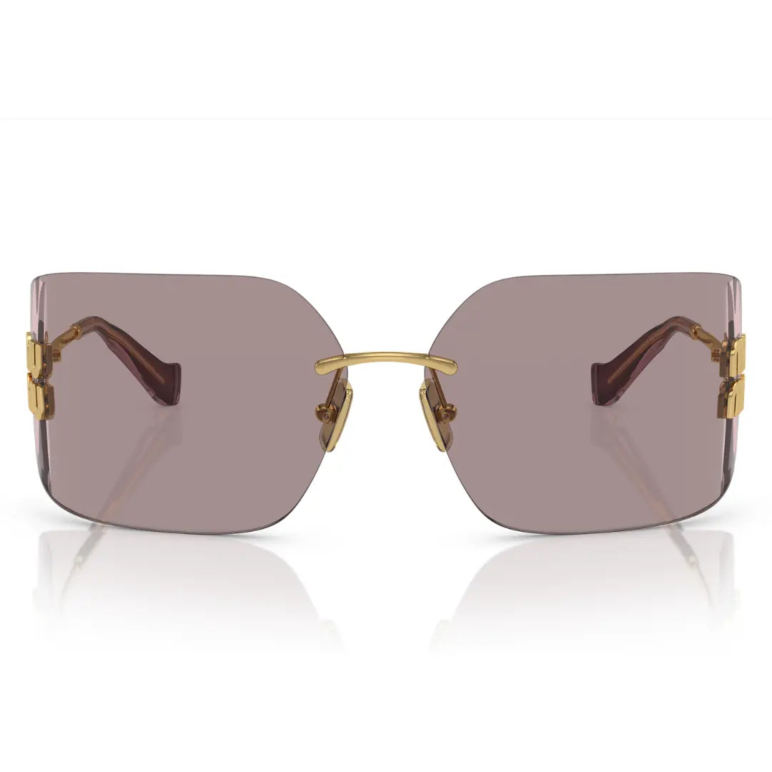 BALENCIAGA BB0095S 002 HAVANA SUNGLASSES