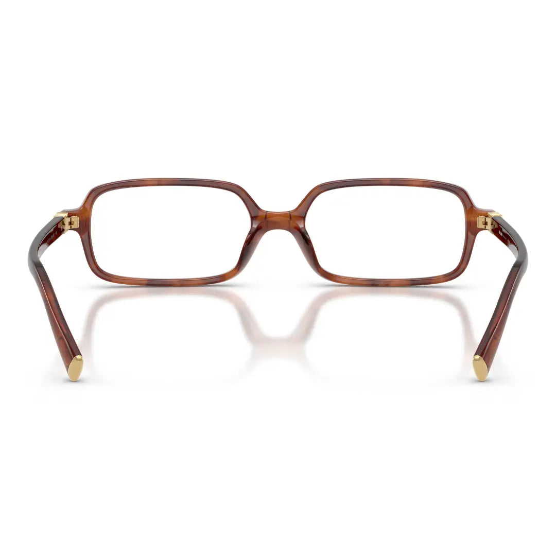 BALENCIAGA BB0095S 002 HAVANA SUNGLASSES