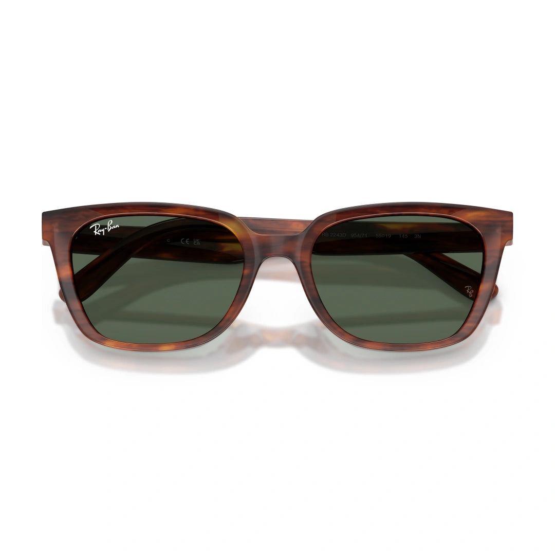 Ray-Ban 0RB2243D OCCHIALI DA SOLE