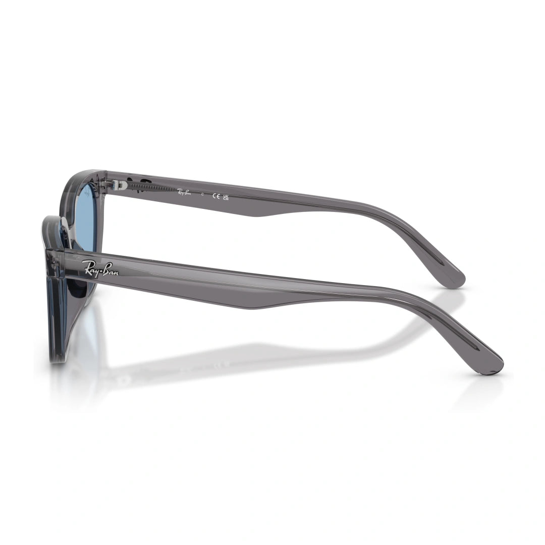 Ray-Ban 0RB2243D OCCHIALI DA SOLE