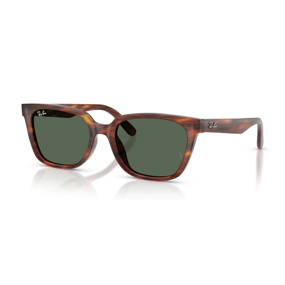 Ray-Ban 0RB2243D OCCHIALI DA SOLE