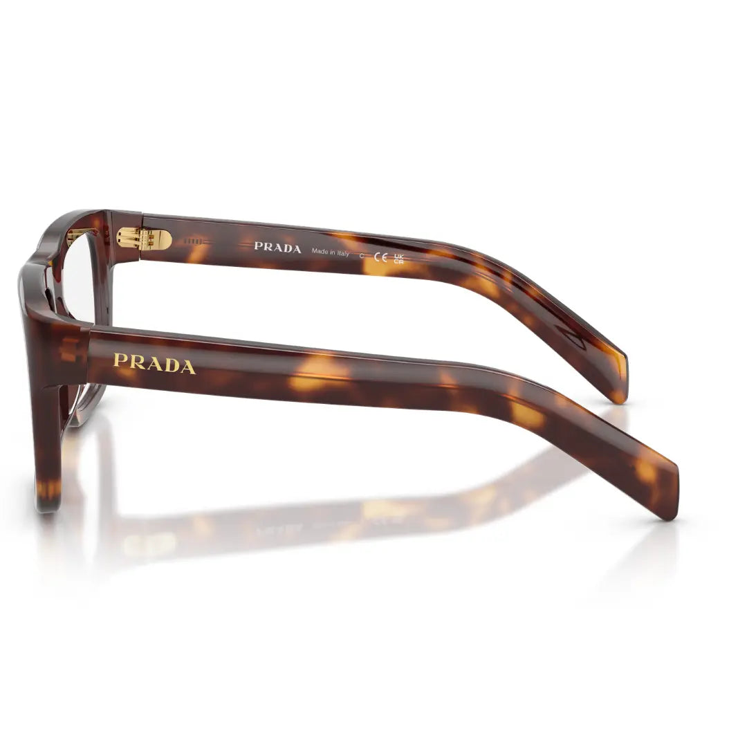 BALENCIAGA BB0095S 002 HAVANA SUNGLASSES