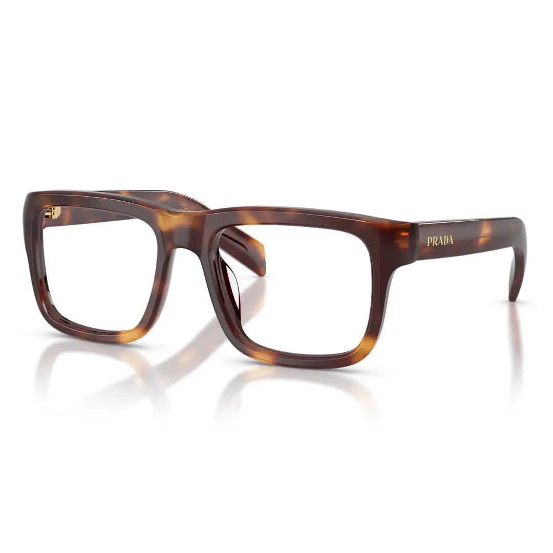 BALENCIAGA BB0095S 002 HAVANA SUNGLASSES