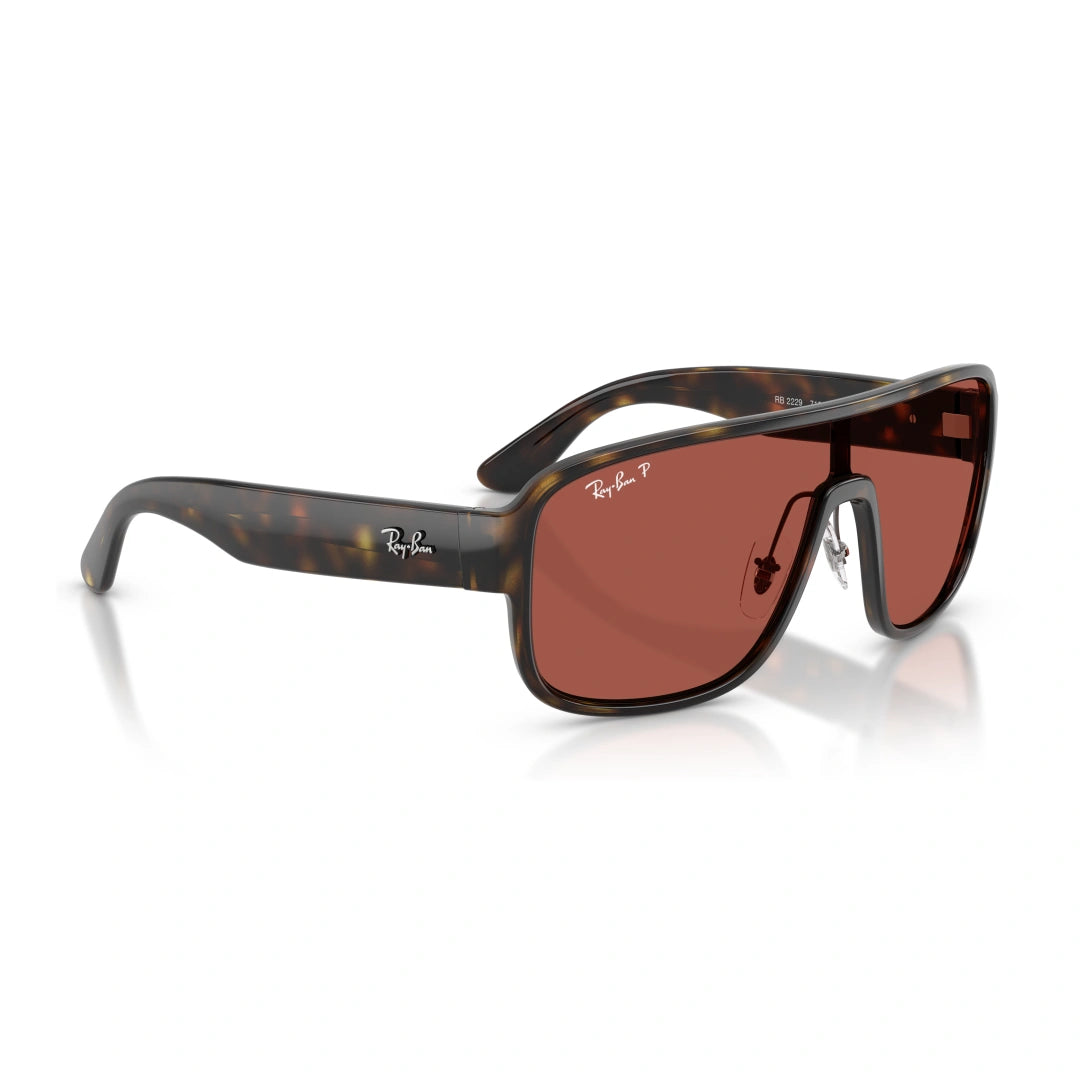 Ray-Ban 0RB2229 OCCHIALI DA SOLE