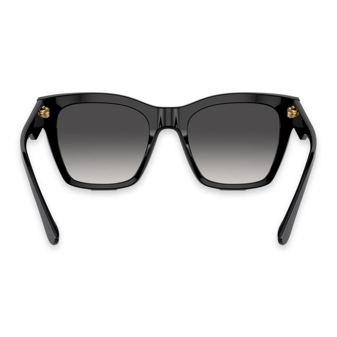 DOLCE E GABBANA 0DG4384 OCCHIALI DA SOLE