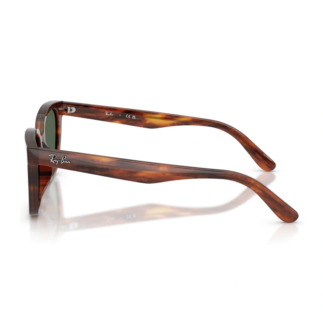 Ray-Ban 0RB2243D OCCHIALI DA SOLE