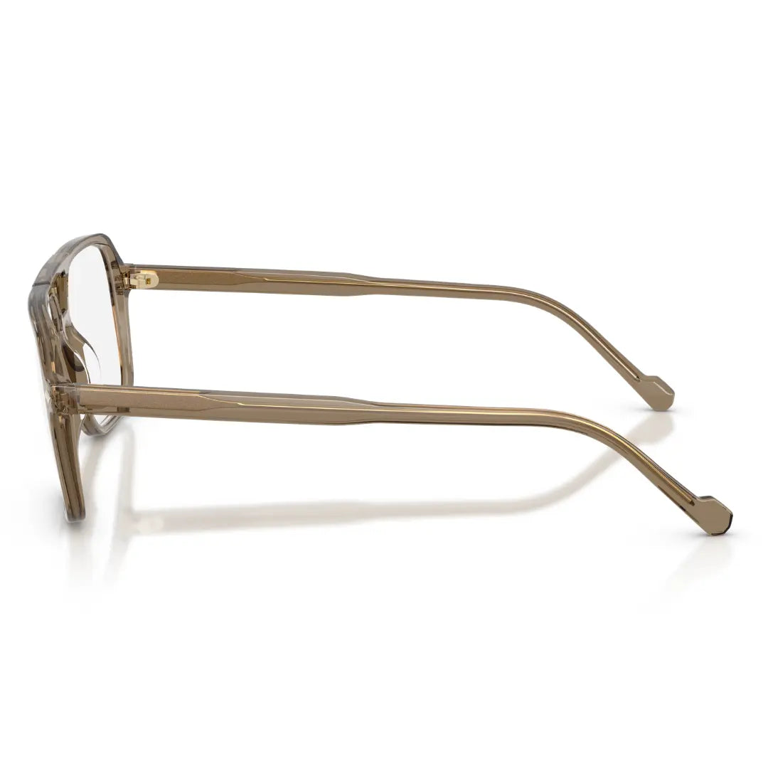BALENCIAGA BB0095S 002 HAVANA SUNGLASSES